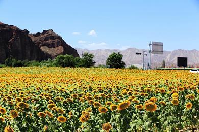 黑暗奇幻动作搜打撤新游《雾影猎人》国内首测定档9月16日